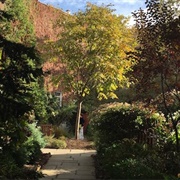 The Gardens at St. Luke in the Fields