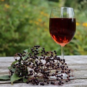 Elderberry Wine