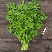 Golden Frills Mustard