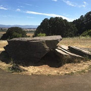 Erratic Rock State Natural Site