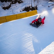 Cresta Run, Switzerland