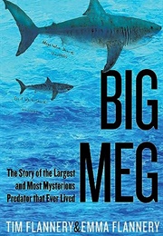 Big Meg : The Story of the Largest and Most Mysterious Predator That Ever Lived (Tim Flannery & Emma Flannery)