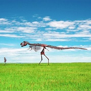 Skeleton Man Walking a Skeleton Dinosaur, USA