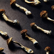 Psilocybin