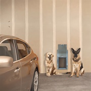 Pet Door