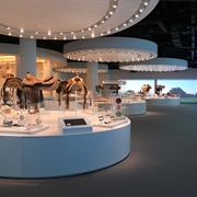 Cowgirl Hall of Fame