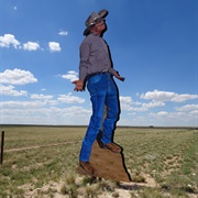 Cowboy Ruckus