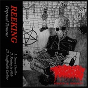 Reeking - Perpetual Torment