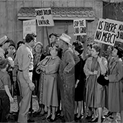 Aunt Bee the Crusader