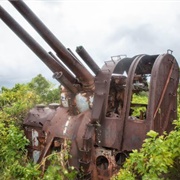 Japanese Guns