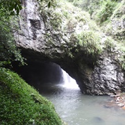 Springbrook National Park