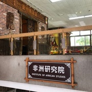 ZJNU Museum of African Culture