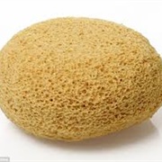Sponge