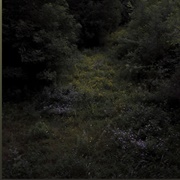 Higher Lonely Power (Fireworks, 2023)