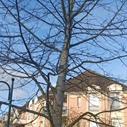 Parking Du Pavillon Chinois, L'isle Adam