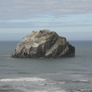 Face Rock