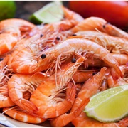 Brown Tiger Prawn (Penaeus Esculentus)