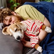 Wants to Cuddle and Sleep Next to You