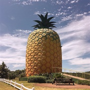 The Big Pineapple, South Africa