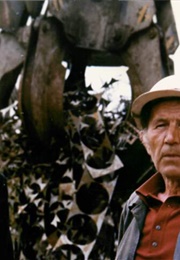 Prawo Jest Prawem (1983)