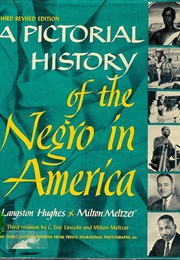 A Pictorial History of the Negro in America (Langston Hughes & Milton Meltzer)