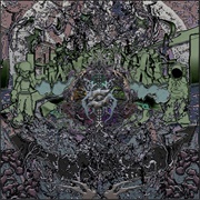 Two Shells (Two Shells, 2024)