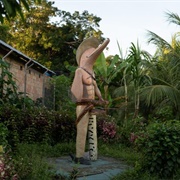 Fundación Natütama