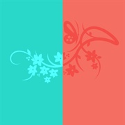 Turquoise / Coral