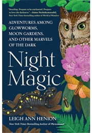 Night Magic (Leigh Ann Henion)