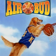 Buddy the Wonder Dog, 9, Cancer