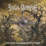 Soul Demise - Beyond Human Perception