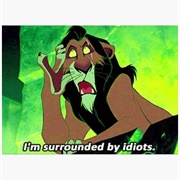 I'm Surrounded by Idiots