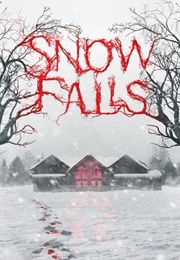 Snow Falls (2023)