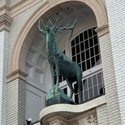 The Elk of Prince Street