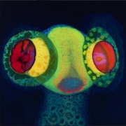 Thee Oh Sees - SORCS 80