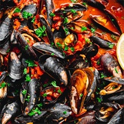 Chilean Mussel