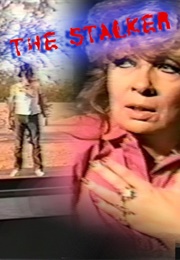 The Stalker (1985)