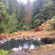 Olympic Hot Springs
