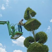 Pearl Fryar Topiary Garden