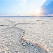 Larnaca Salt Lake