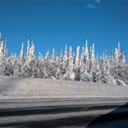 Lapland State Nature Reserve, Russia