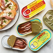Canned Anchovies