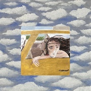 Dulling the Horns (Wild Pink, 2024)