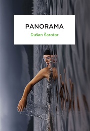 Panorama (Dusan Sarotar)