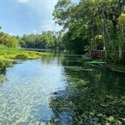 Wekiwa Springs, FL