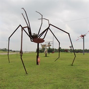 Eclectic Menagerie Park