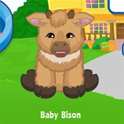Baby Bison