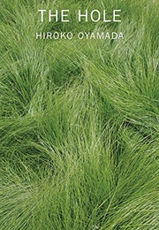 The Hole (Hiroko Oyamada)