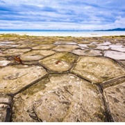 Tatami-Ishi, Kumejima, Okinawa, Japan