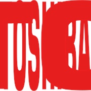 Toshiba (Japanese Company)